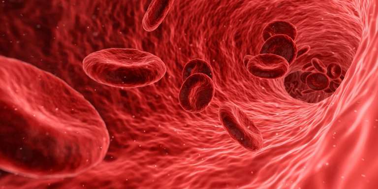 An image of blood cells